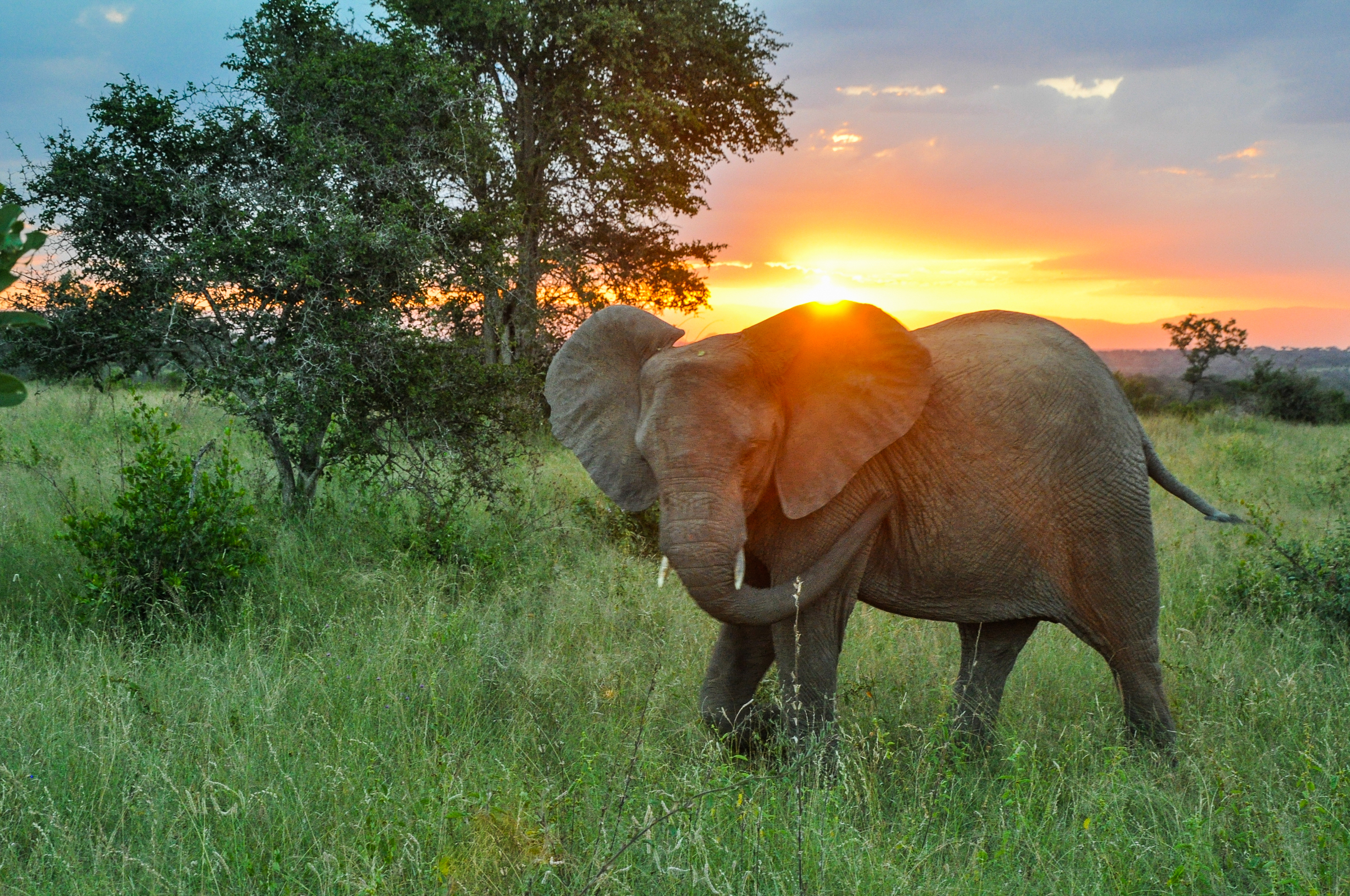 Recognizing Leaders: Gavin Edwards and Zhou Fei, WWF