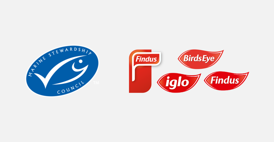 The MSC, Nomad Foods, and GlobeScan to Host SDG Leadership Forum for Goal 14: Life Below Water