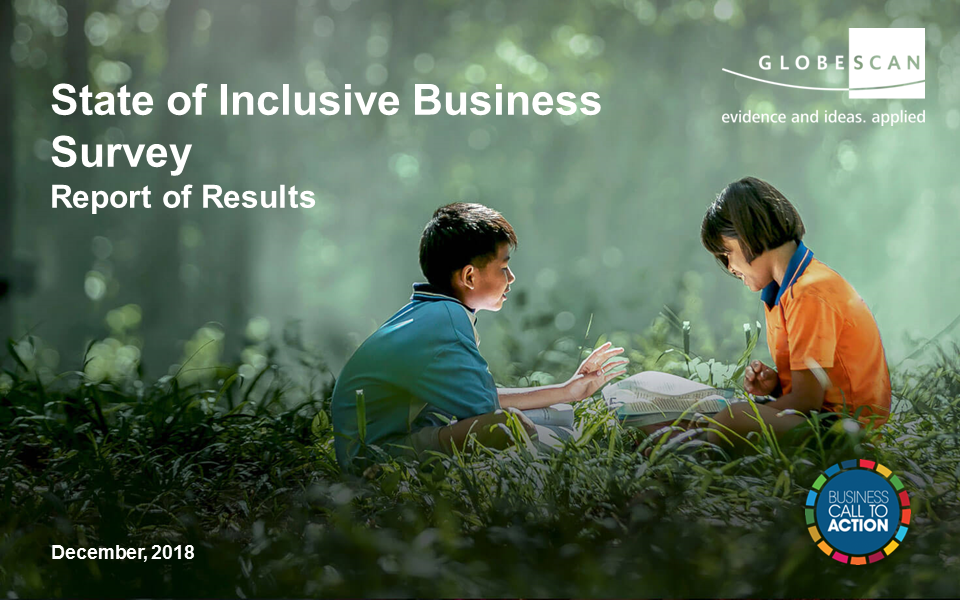 The 2018 State of Inclusive Business Survey: Insights from Stakeholders | Report