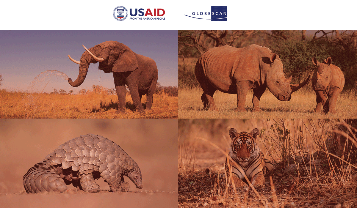 How to Reduce Consumer Demand for Wildlife in Asia