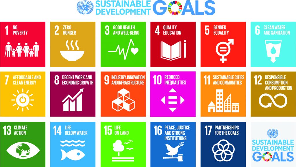 Catalyzing Action on the SDGs Through Collaboration