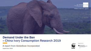 Demand under the Ban – China Ivory Consumption Research 2019