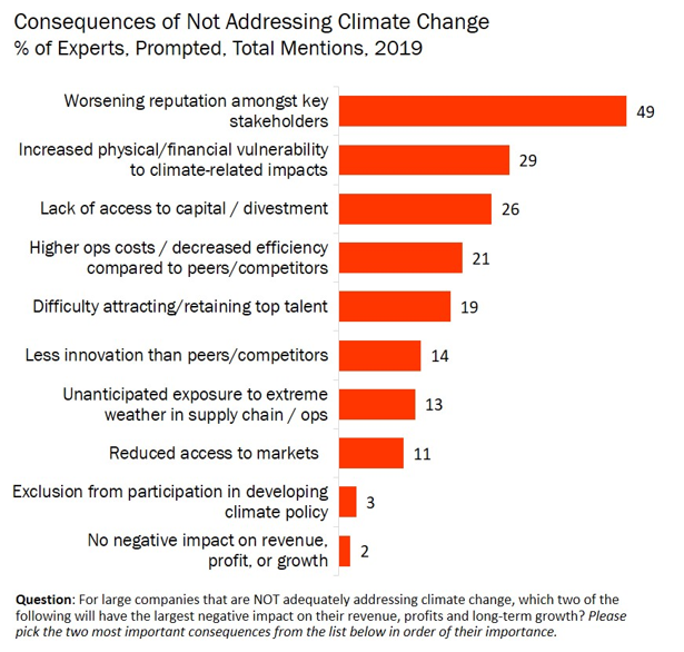 GlobeScan-SustainAbility Survey: The Climate Decade: Ten Years to Deliver the Paris Agreement - chart 1
