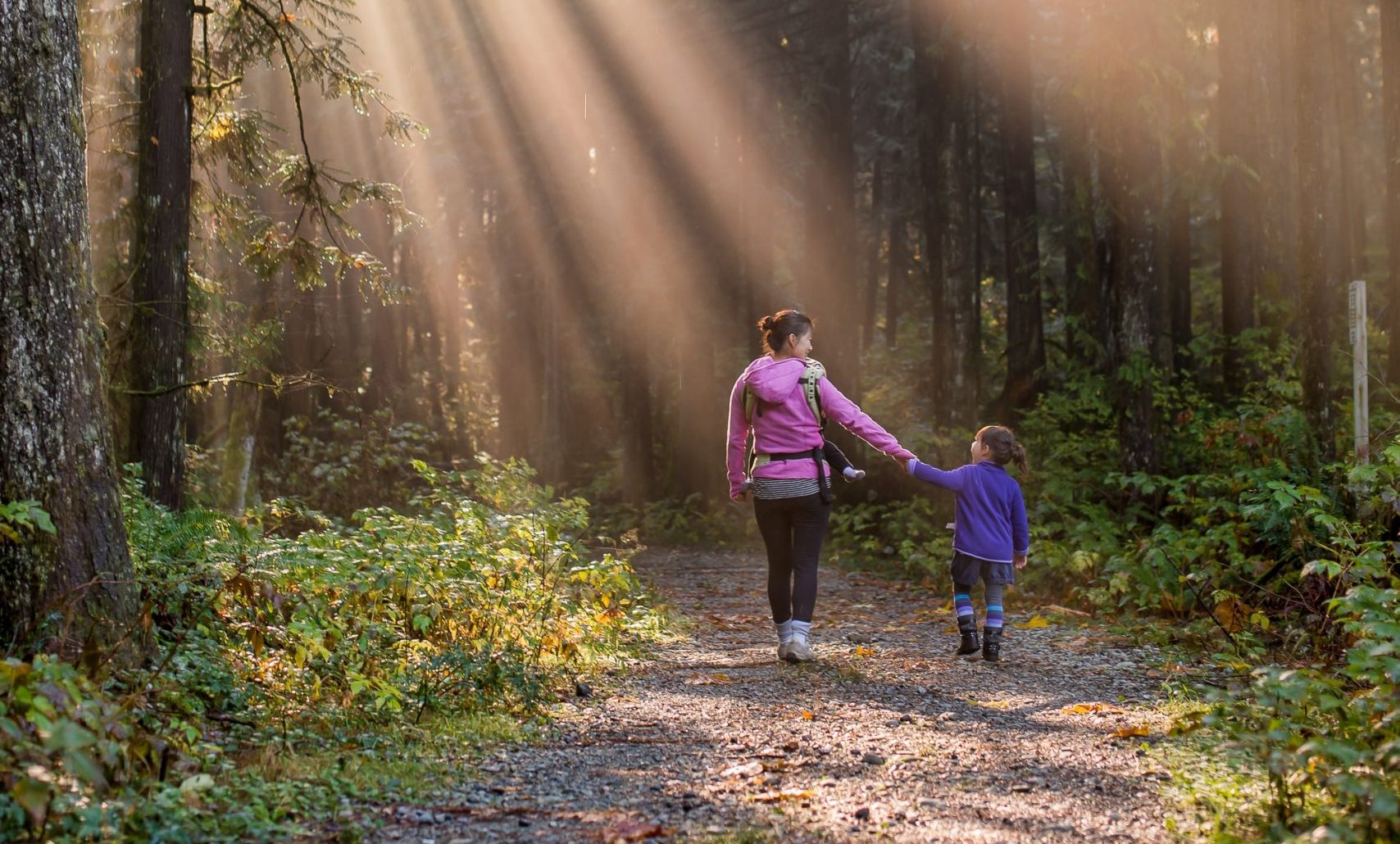 Purpose-Driven Brands Partner to Identify Opportunities for Healthy, Sustainable Living with 25-Country Consumer Study