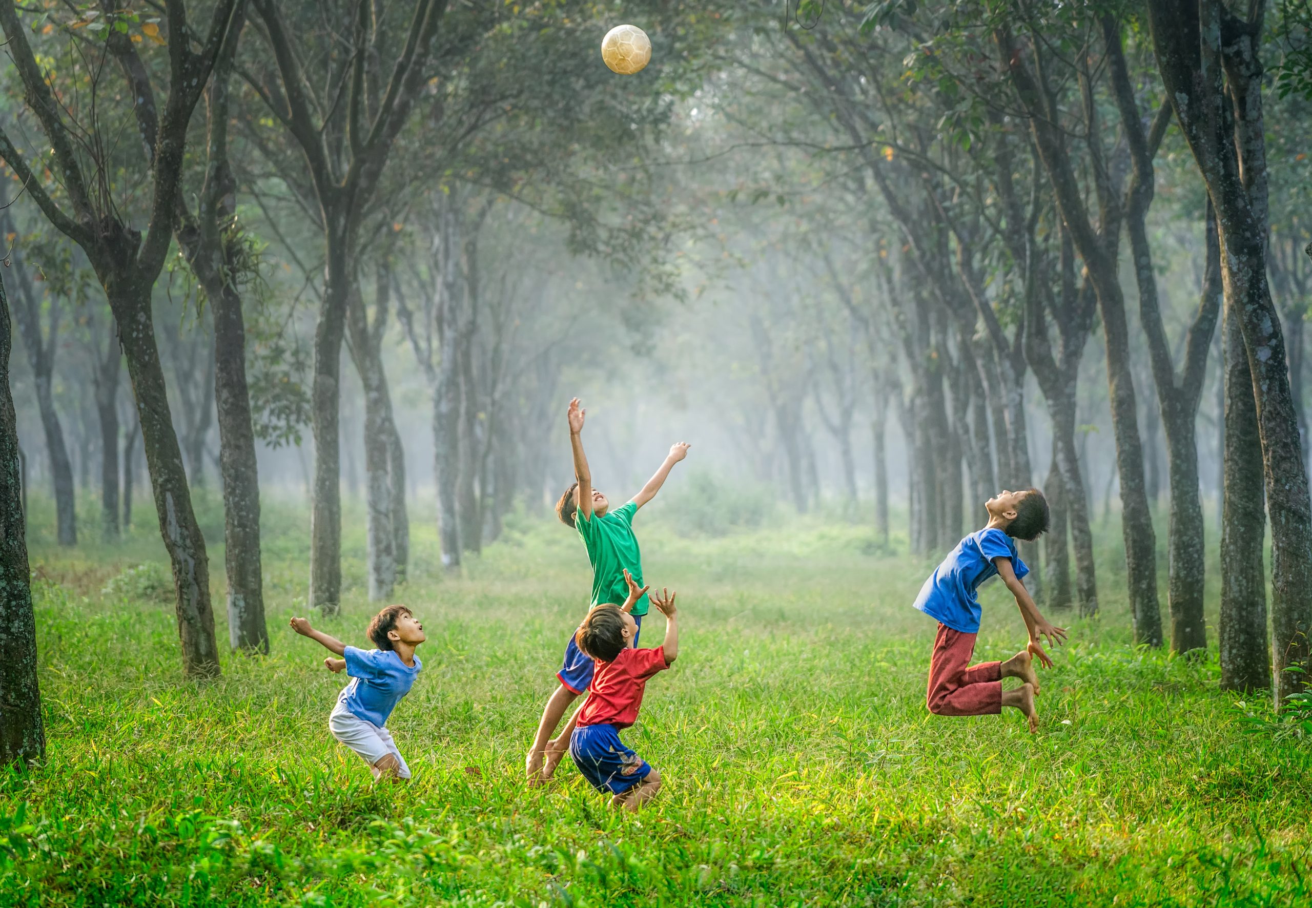 Report: High Cost and Lack of Support are Key Barriers to More Healthy and Sustainable Living