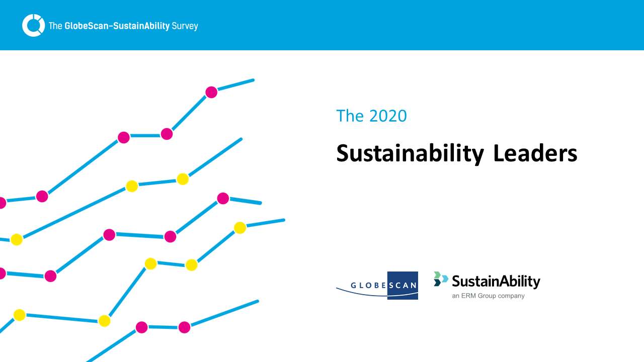 Run survey. Sustainable Leadership picture.
