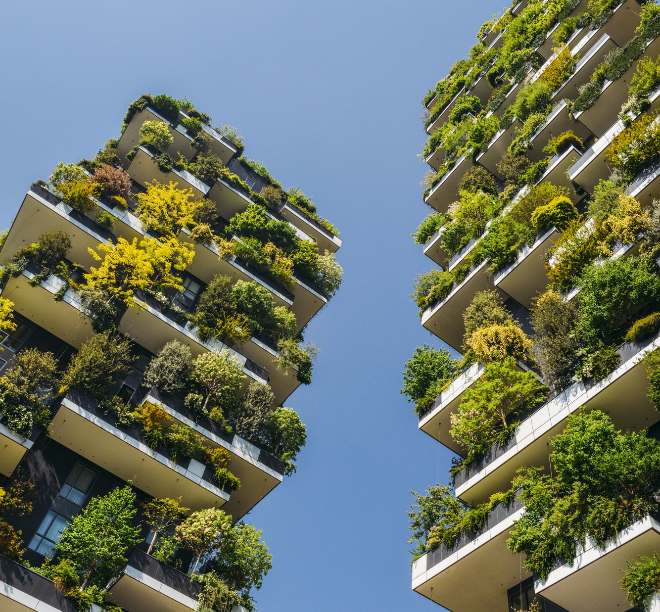 Joint Advocacy for Sustainability | Report