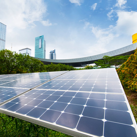 2023 Sustainability Leaders | Report & Webinar