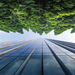 Sustainability at a Crossroads Webinar