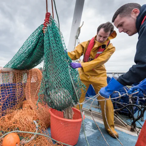 Building Trust through Listening: Lessons from the Marine Stewardship Council’s Global Stakeholder Consultation