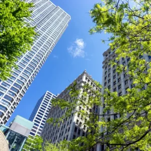 The New Landscape of Sustainable Business