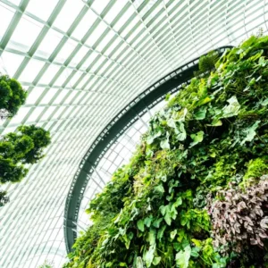 The Sustainability Backlash Has Spread Beyond North America
